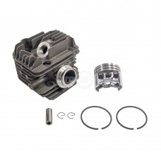 CYLINDER & PISTON ASSEMBLY