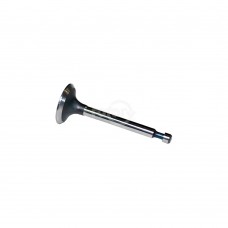 INTAKE VALVE FOR B&S