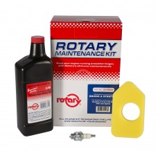 ENGINE MAINTENANCE KIT FOR B&S