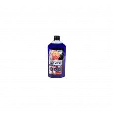 303 CAR WASH CONCENTRATE 18 OZ.