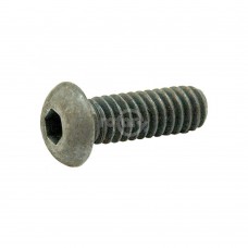 SCRAPER BAR BOLTS SNOWBLOWER